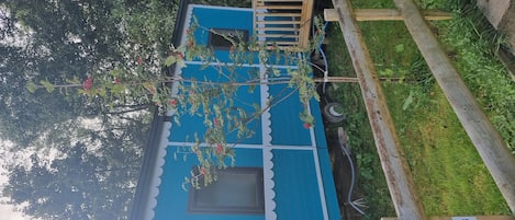 House | Sports court