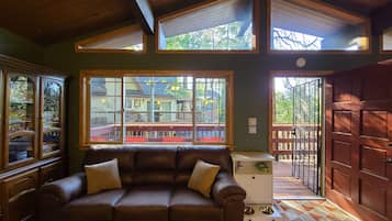 Älytelevisio, takka, DVD-soitin, kirjoja