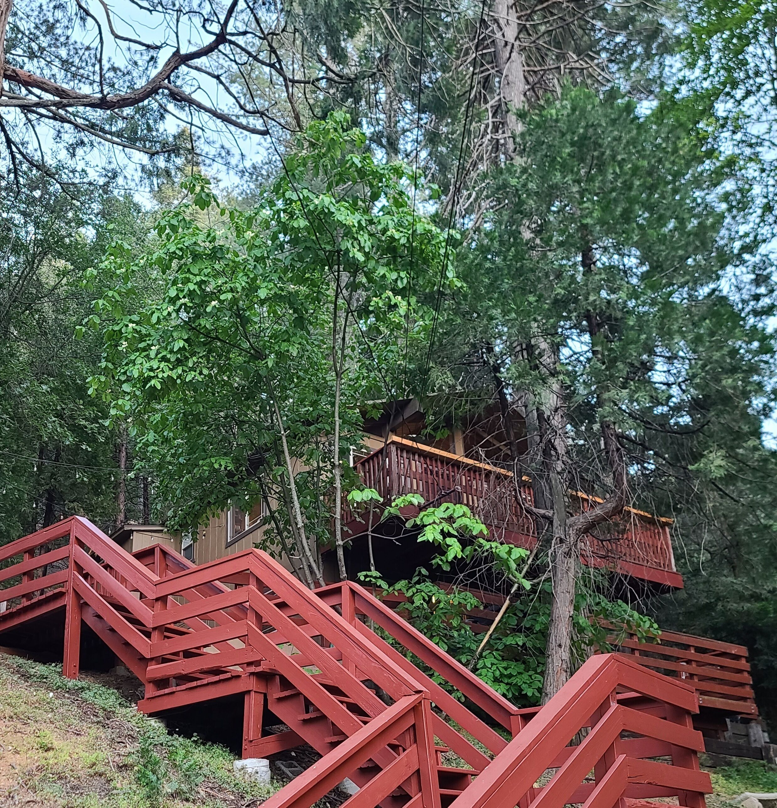 A wooden staircase leading up to a wooden deck surrounded by trees.