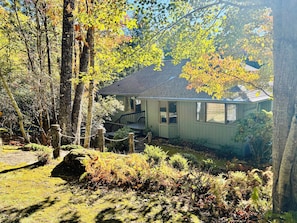 A house with a porch, surrounded by trees and ferns.