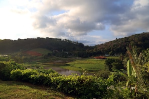 Vista desde la habitación