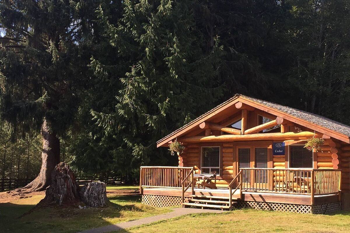 A log cabin with a porch, a sign reading "Cedar", and a large tree in the background.