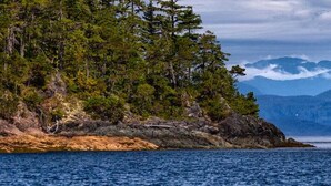 A coastal landscape with a rocky shoreline, dense forest, and a distant mountain range.