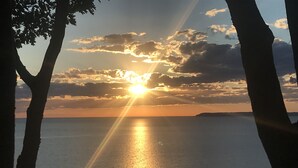 Auringonlasku tyynen meren yllä, ja puun siluetit kehystävät maisemaa.