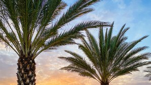 A sunset view with palm trees and red flowers in planters, a bench, and a fire feature. - Wine Country Retreat • Pool, Spa, Views (Temecula)