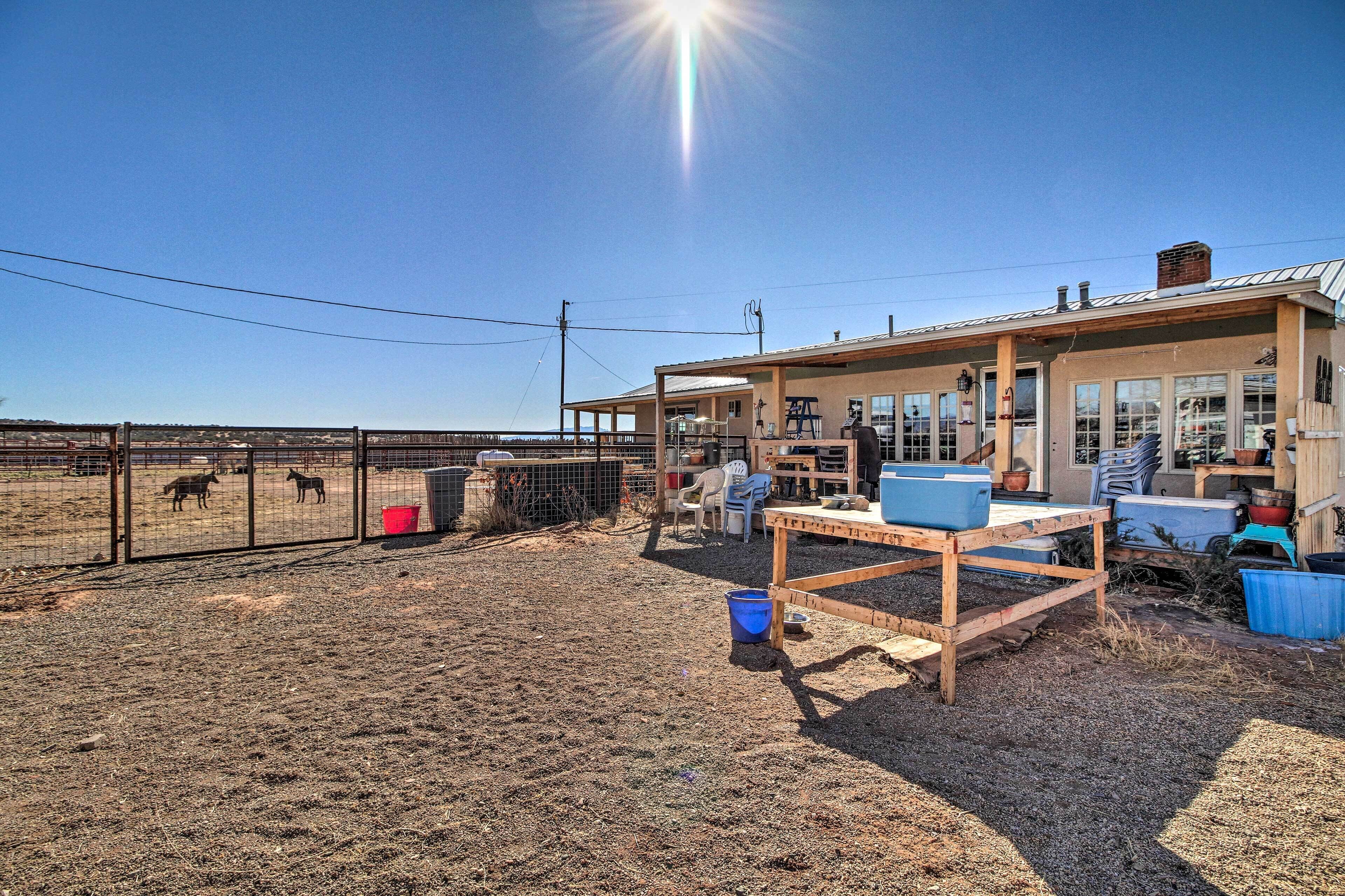 A stable with a fenced area containing horses, a covered shelter, and a wooden table with blue containers.