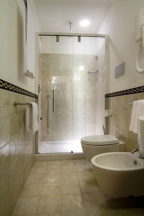 Shower, hair dryer, bidet, towels