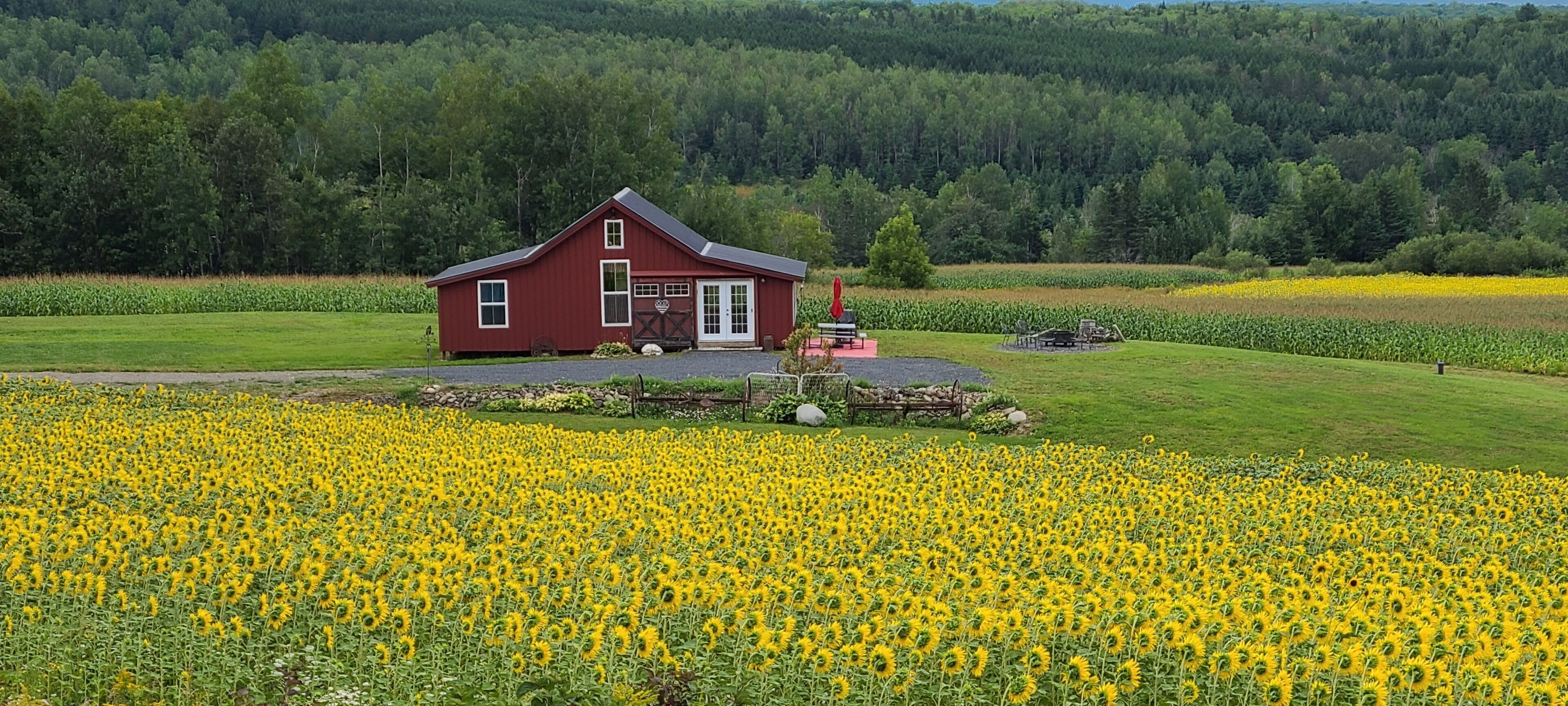 Mountain View Cabins #2