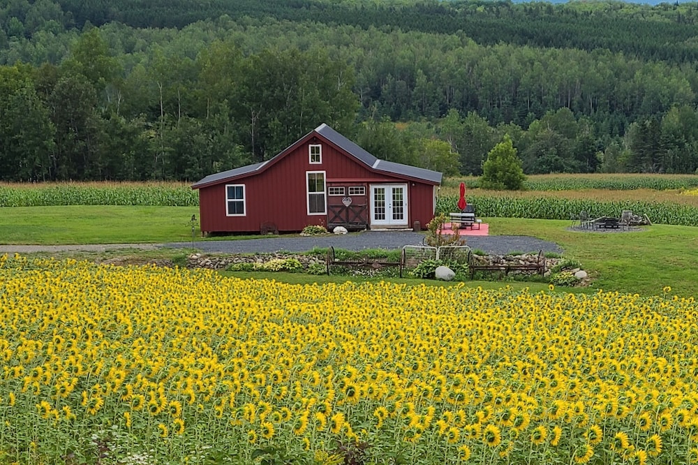 Mountain View Cabins #2