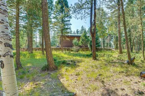 Property grounds - Stylish, Serene Angel Fire Cabin w/ Hot Tub! (Angel Fire)