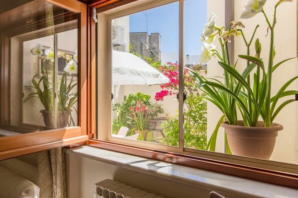 Una ventana con vista a un balcón con macetas y flores.