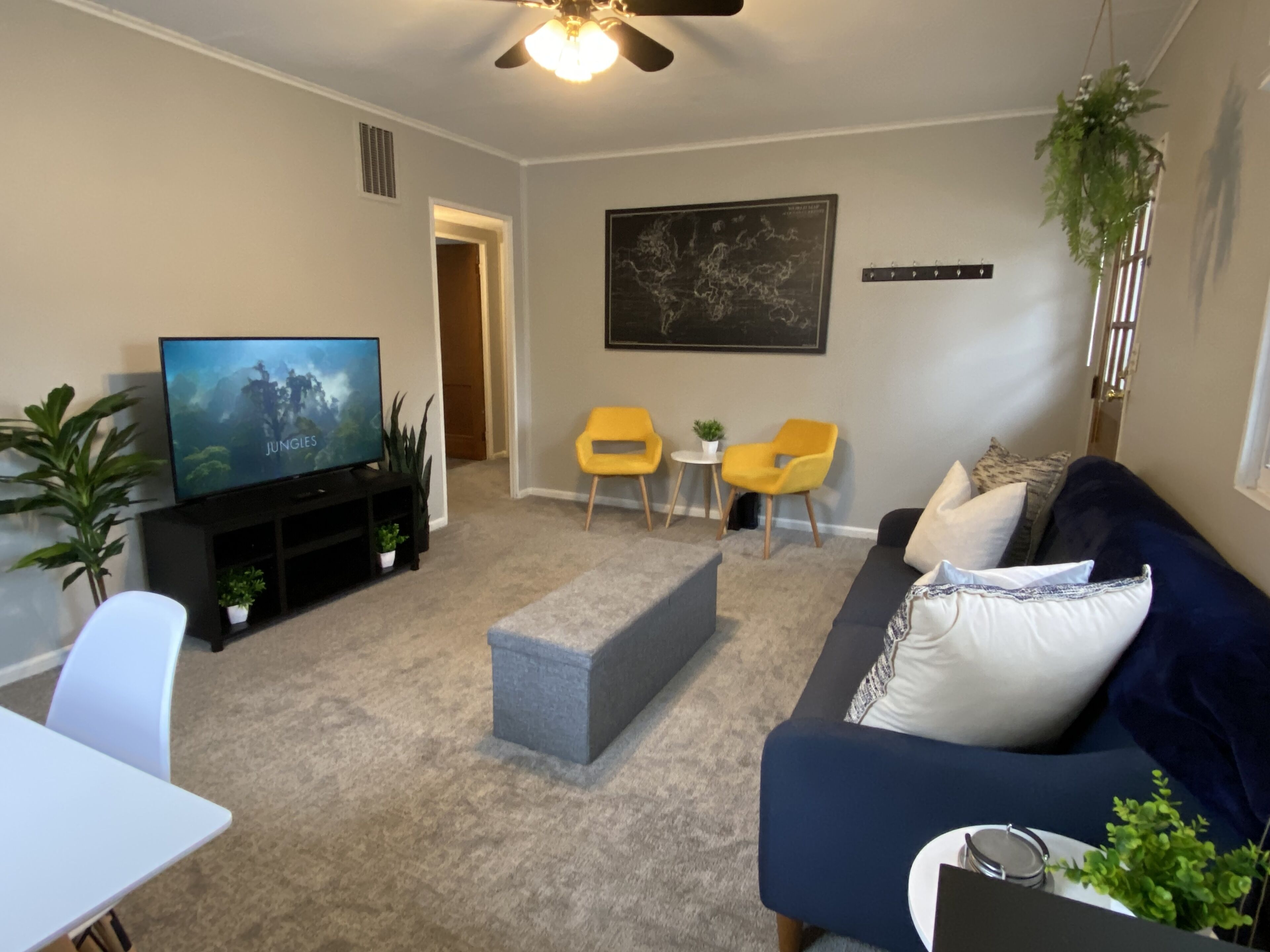 Whole House with big back yard and comfy beds!