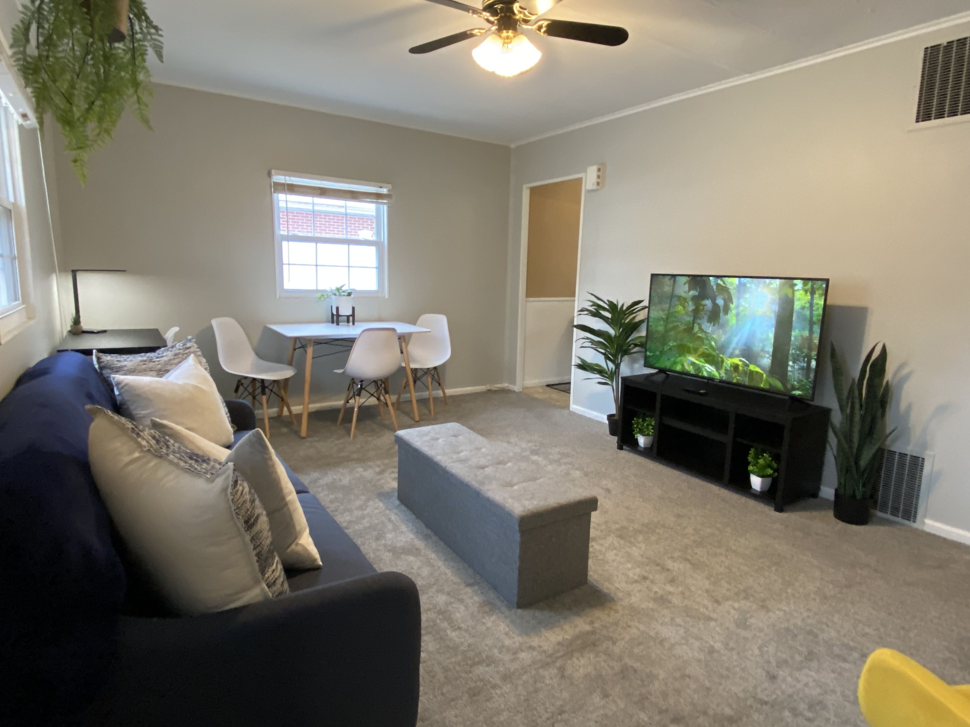 Whole House with big back yard and comfy beds!