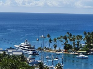 Ein Yachthafen mit mehreren angestaubten Yachten, umgeben von Palmen und freiem Blick auf das Meer.