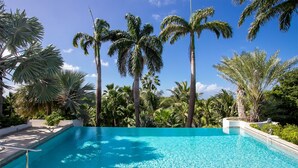 A clear blue pool surrounded by palm trees and lush greenery. - Les Palmiers Bleus | Ocean Front - Located in  Tropical Terres Basses with Private Pool (Saint Martin)