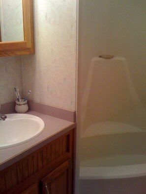 Combined shower/bathtub - Overlooking the waters of the Chesapeake Bay (Earleville)