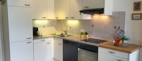 Frigorífico, horno, lavavajillas y utensilios de cocina