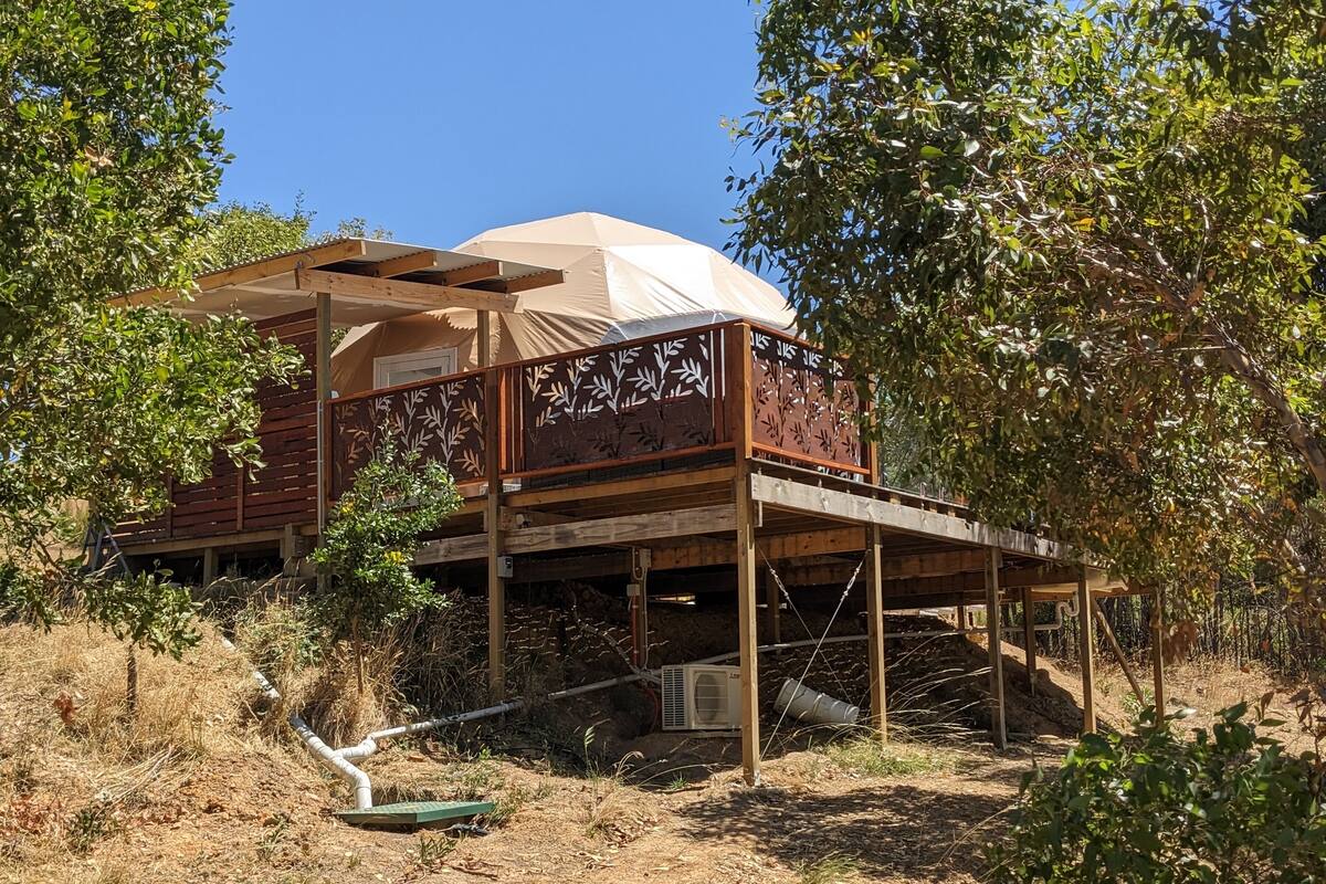 A wooden structure with a beige canopy, elevated on stilts, surrounded by dry vegetation and trees.