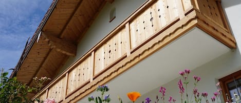 Detalle del exterior