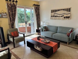 Smart TV, DVD player, books, video library