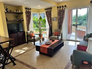 Smart TV, DVD player, books, video library