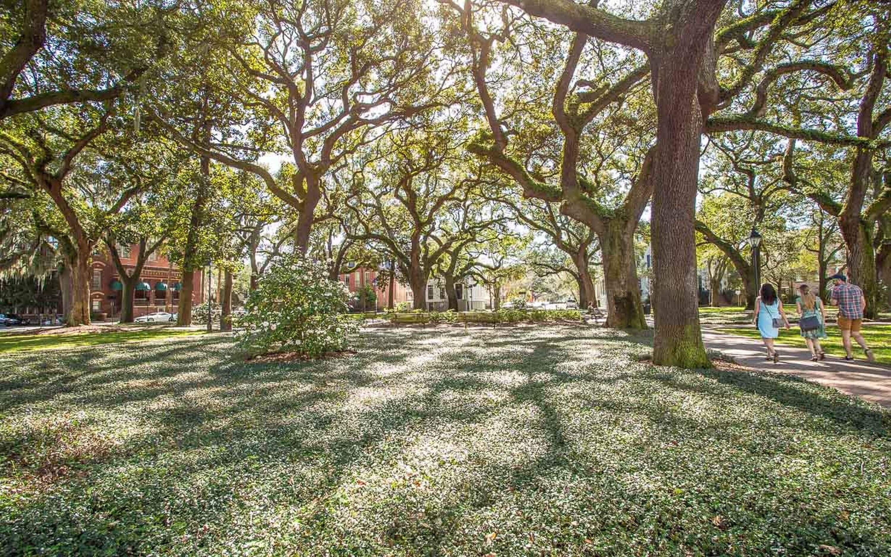 Condo, 1 Bedroom | Property grounds