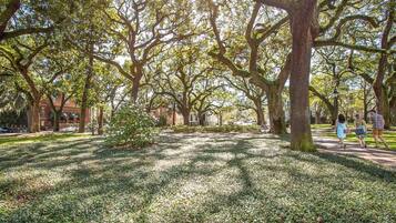 Condo, 1 Bedroom | Property grounds