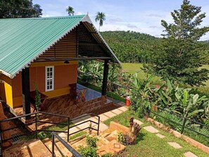 Property grounds - Agronest Farm Wayanad (Sulthan Bathery)