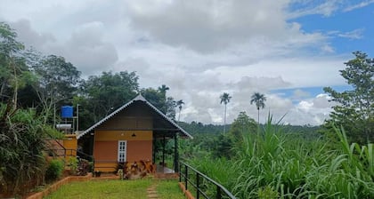 Agronest Farm Wayanad