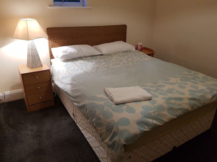 Premier Room, 1 King Bed, Non Smoking, 2 Bathrooms | Memory foam beds, blackout drapes, iron/ironing board, free WiFi