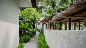 Een pad omzoomd door weelderige begroeiing en een houten pergola.