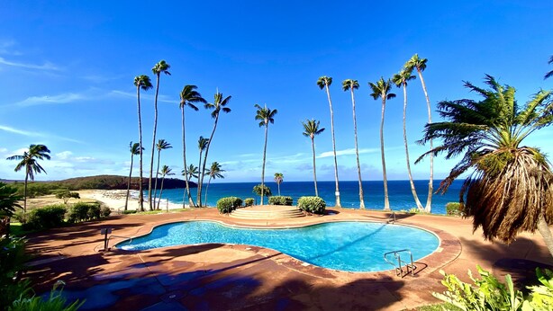 A swimming pool with palm trees and a view of the ocean. - Stunning ocean view condo (Maunaloa)