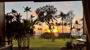 A room with a view of the sunset over the ocean, featuring a bed, a chair, and potted plants. - Stunning ocean view condo (Maunaloa)