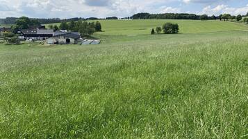 Ländliche Landschaft mit einem großen grünen Feld, einem Bauernhof und einem Wald im Hintergrund.