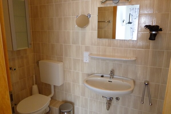 A bathroom with a toilet, sink, and mirror. - Pension Wittgensteiner Schweiz (Bad Berleburg)