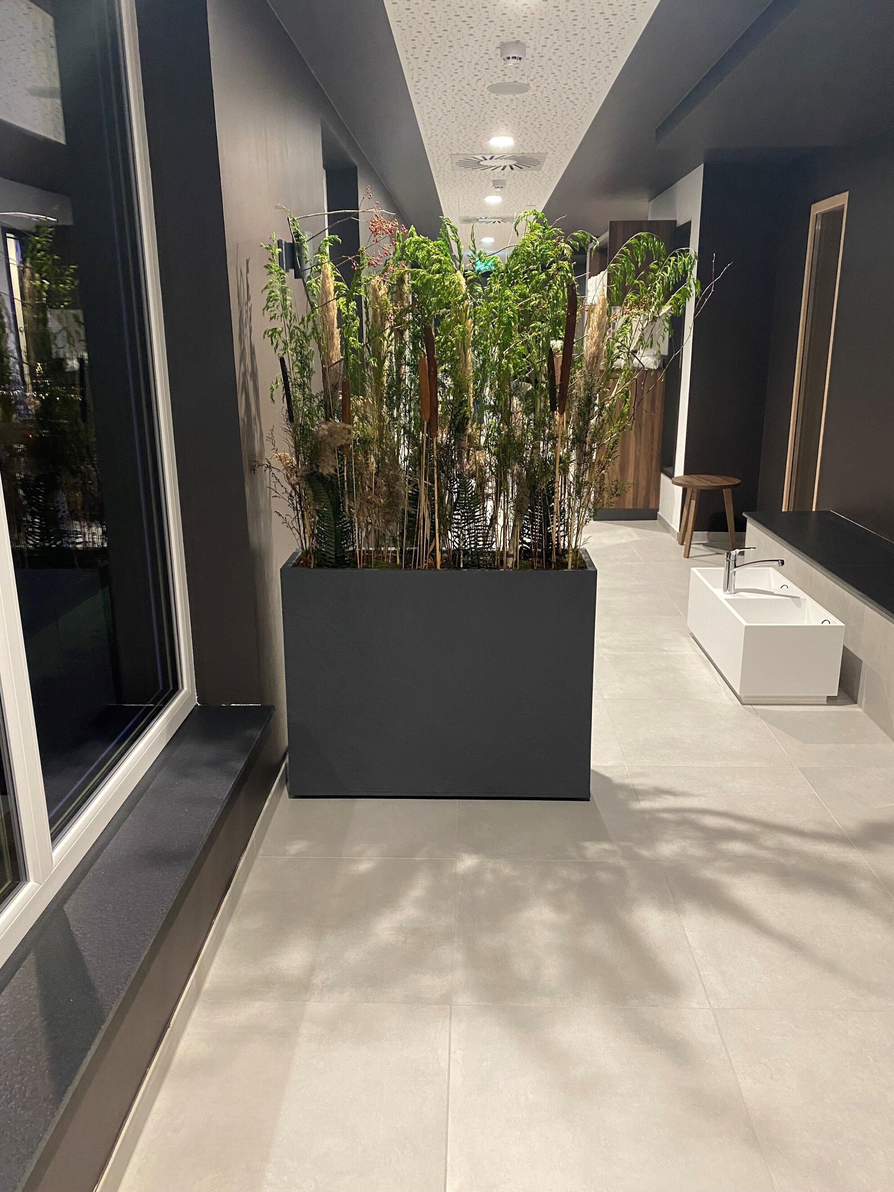 Een moderne hal met een grote plantenbak vol groene planten, een witte badkuip en een houten kruk.