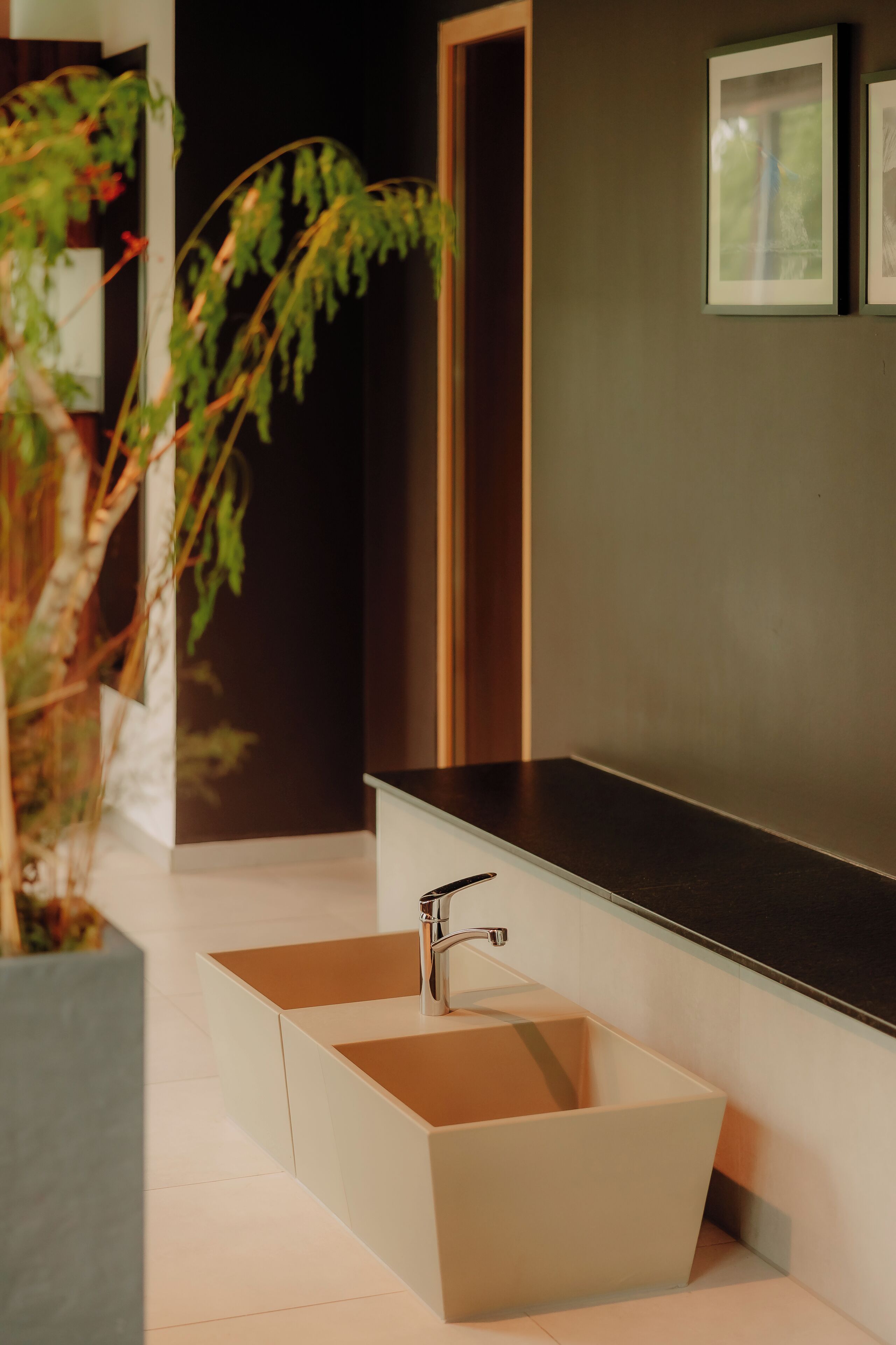 Un baño moderno con lavamanos integrado, una planta en maceta y cuadros en la pared.