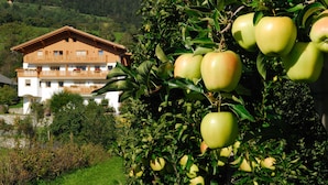 Un bâtiment doté d’un balcon et un arbre aux pommes vertes.
