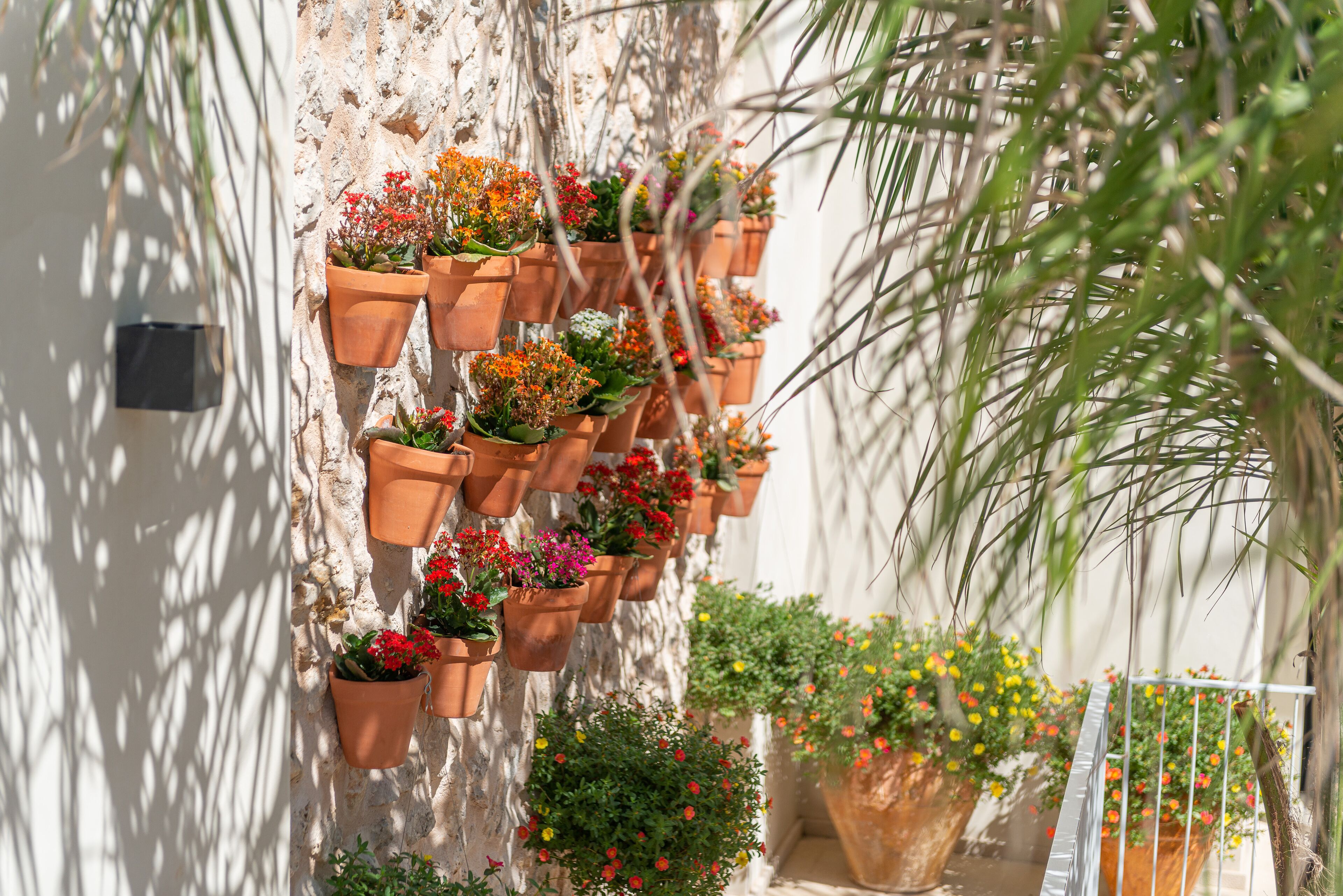 Photo - Placeta Vella Turismo de Interior