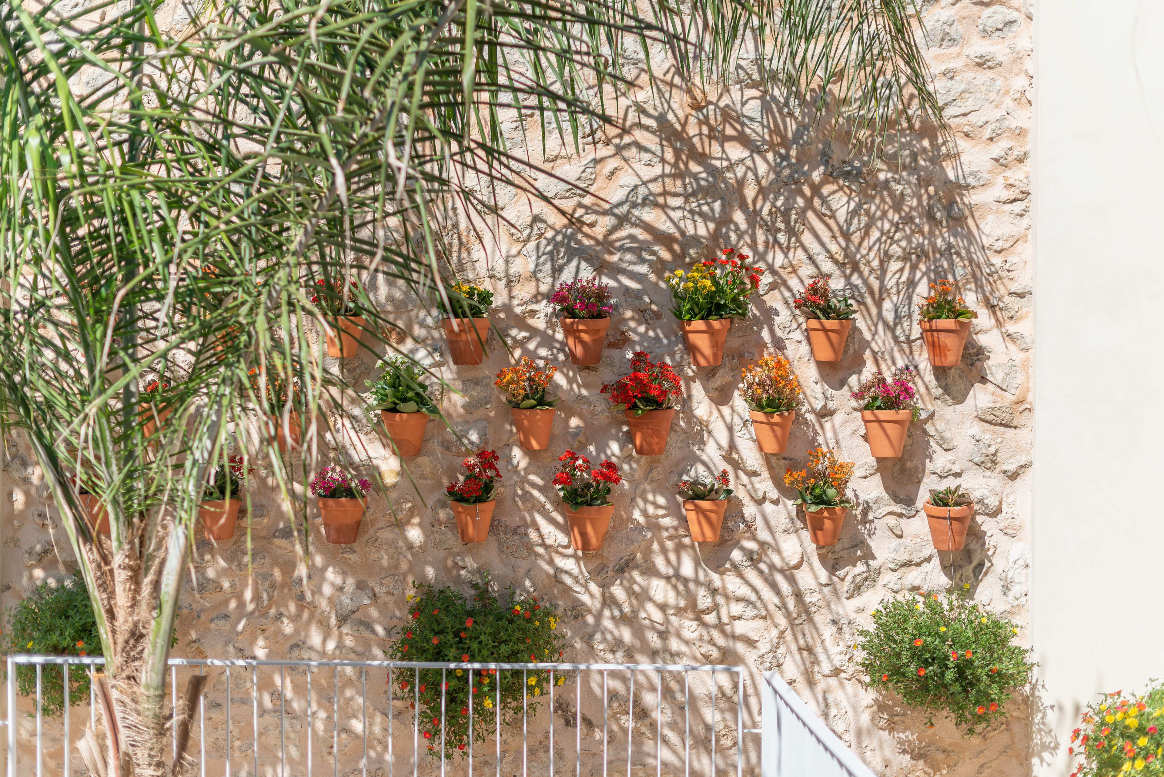 Een stenen muur met meerdere terracotta potten met verschillende bloemen.