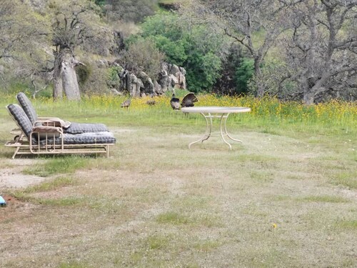 RV Parking in the beautiful country