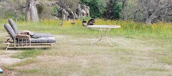 RV Parking in the beautiful country