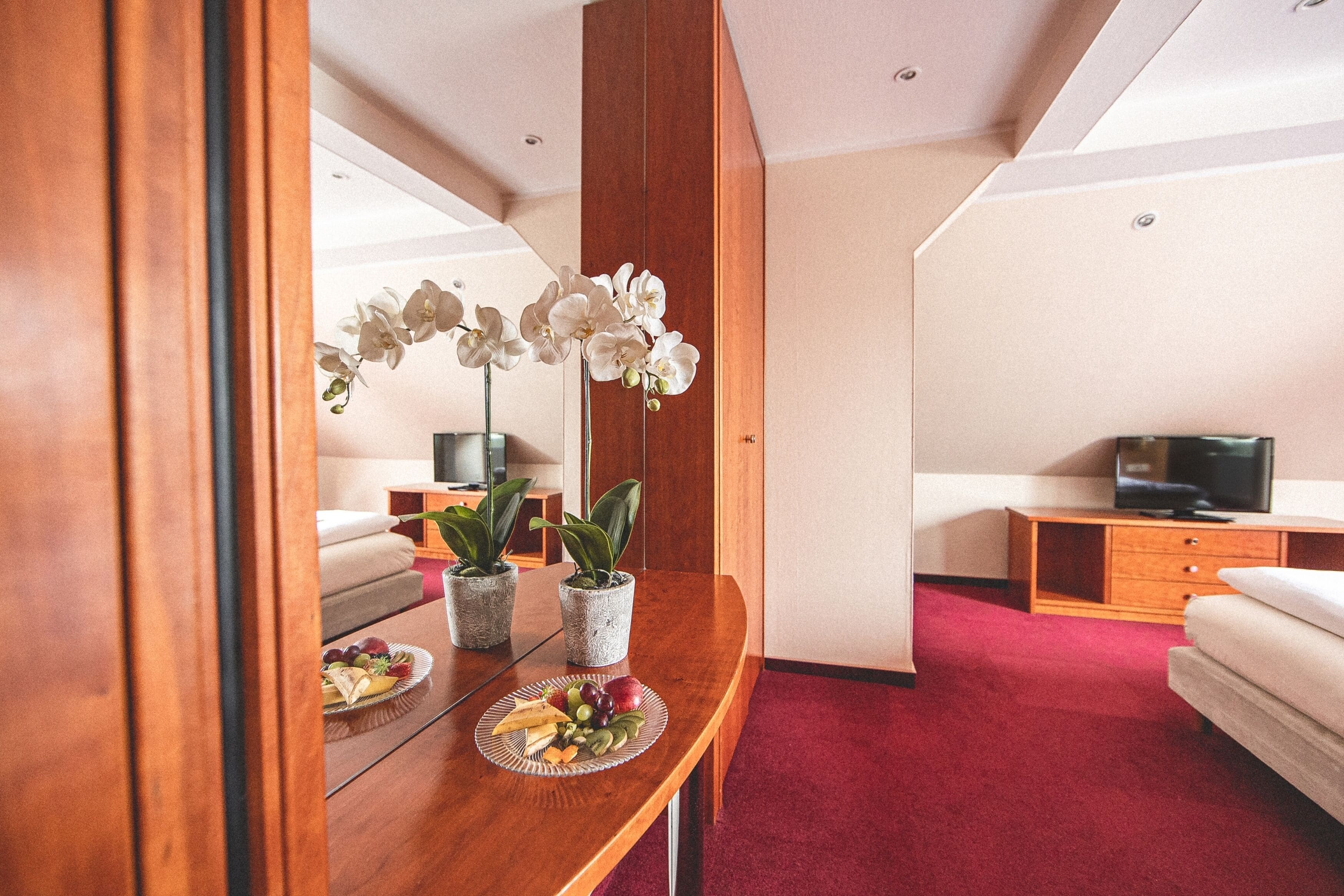 A hotel room with a wooden desk, two potted plants, a fruit plate, a bed, a TV, and a red carpet.