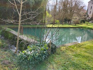 Property grounds - Studio with summer pool in small village in Dordogne (fonroque)