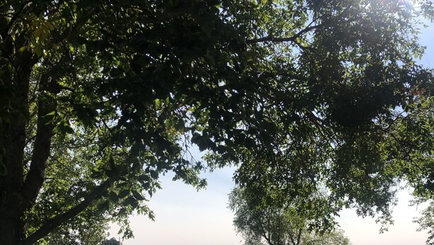 A grassy area with a bench and a small structure, overlooking a calm body of water. - Cottage on The Lake (Redfield)