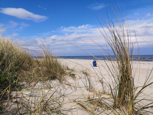 Nära stranden