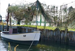 Unclassified image, 4 of 23, button