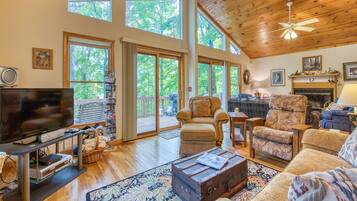 TV connectée, cheminée, lecteur de DVD, livres