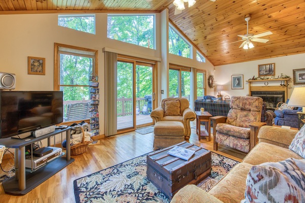 Smart TV, chimenea, reproductor de DVD, libros