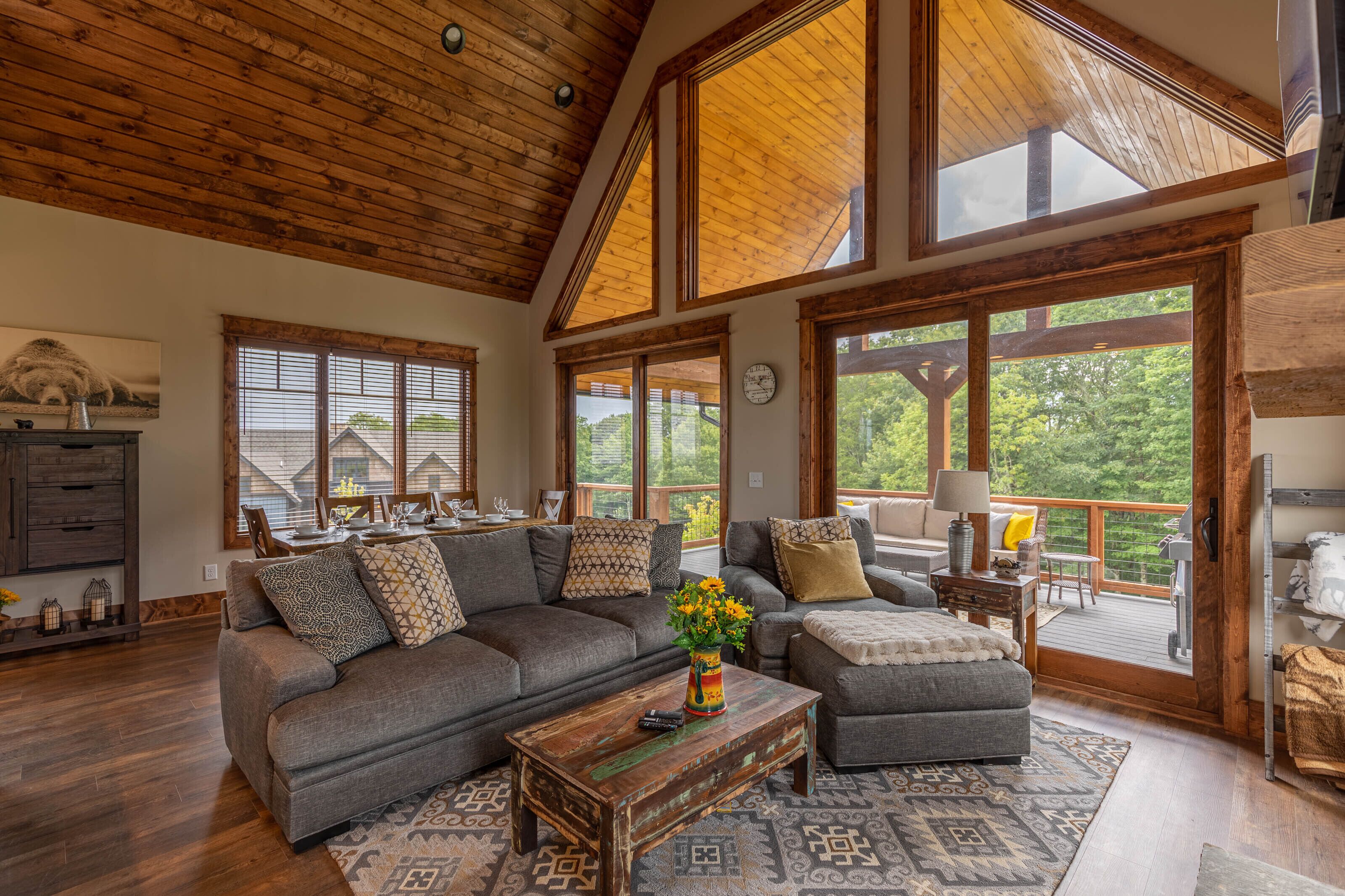 Soaring Hawk Lodge at Eagles Nest - pet run, big views, two suites